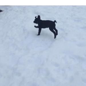 Meet your Posher, Emma